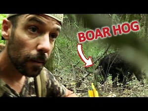 Bow Hunting Hogs - First HOG HUNT of 2021!