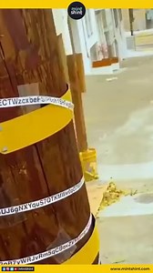 26K views · 139 reactions | Share this with your friend who need a Netflix Account  | Tech Moves | Facebook