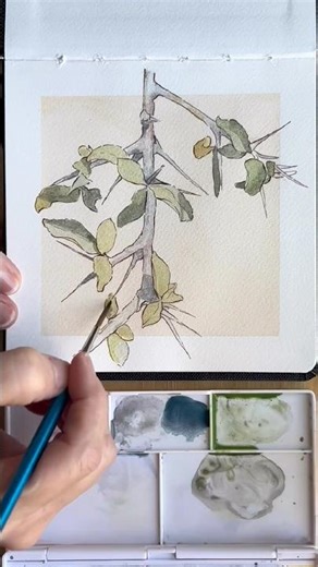 Layers with Derwent Graphitint | Myrrh #art #watercolor #painting #bible #biblestudy