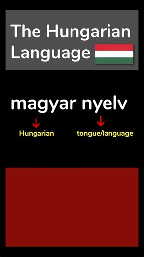 Langfocus Paul 🪬 on Instagram: "The Hungarian language (clip 1)"