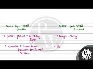 Differentiate between wind pollinated and insect pollinated flowers.....