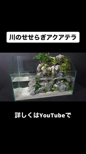 TikTokでTREEチャンネルさんをチェック！