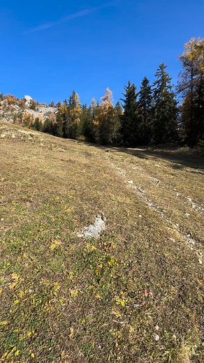Un exercice très intéressant à garder en routine hebdomadaire, c est le D #ninja #trail#renforcement | Ninjutsu Sion - Chatel