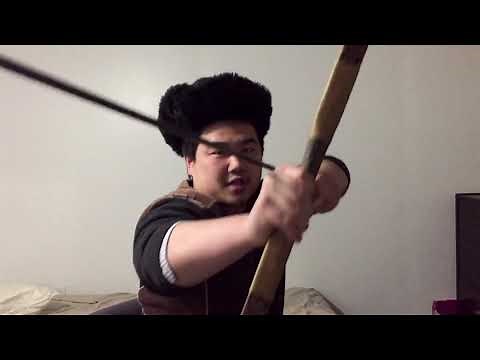 Historical Mongolian Archery Analysis #1