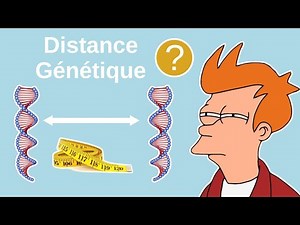 [Ép. 1] Distance Génétique : Comment Mesure-t-on nos Différences ?