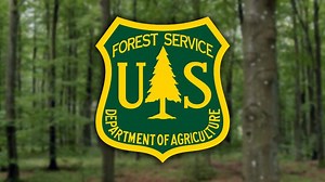 Forest Service to close trails around Wheeler Peak