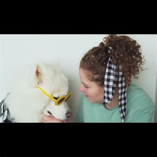 ⭐ing The Pup & Yellow Shades Showdown #shorts #dogshorts #mustwatch #viralmoment #trendingshorts