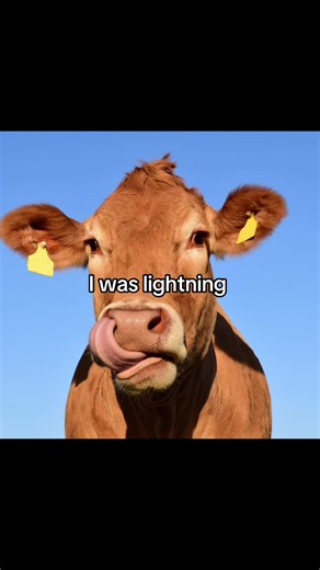 The Power of Lightning: Understanding Its Impact