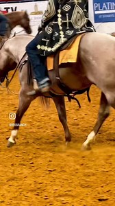 QUAHADI, KREYZY HORSE & PEPTOS STYLIN TIME warming up for set 1 of the 2023 National Reined Cow Horse Association Worlds Greatest Horseman finals. Let’s Go!! ☎️ call (855) 674-6773 to book your mares! #6666Ranch | #BredToWin | #KreyzyHorse | #PeptosStylinTime | #Quahadi | #6666QuarterHorses | #NRCHA | #WorldsGreatestHorseman | #SirePower | #6666Stallions | #NationalReinedCowHorse | Bosque Ranch Performance Horses | Kelby Phillips Performance Horses | Peptos Stylin Time | Kreyzy Horse | 6666 Ranc