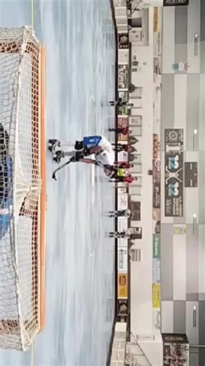Videos de Tik Tok Hockey 🏑🏑🏑 (@tik.tok.hockey) con “оригинальный звук - Personal trainer”