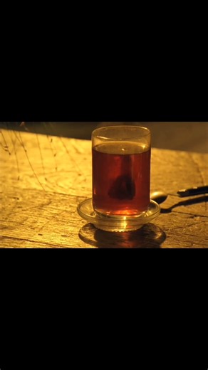 The Double Life of Véronique (1991) / Dir. Krzysztof Kieślowski | Cinema in the Mist 2