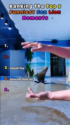 Laugh Out Loud Sea Lion Moments