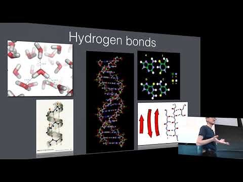 Biophysics 2019 - Lecture 3