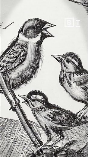 This dark fable may predict humanity’s future with AI