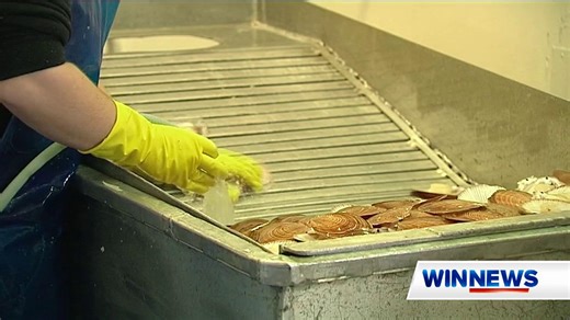 Commercial fishers throughout Queensland have been left disappointed, with the State Government extending its indefinite ban on scallop trawling. Though the ban has been lifted for most of the east coast, fishers in the southern inshore region have had no such luck. #WINNews | Channel 8 & 80 (HD) Weeknights from 5:30pm | WIN News Toowoomba