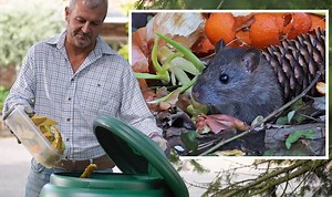 ‘Will attract vermin’: Key ingredients you should never compost