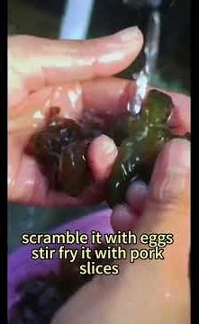 One-Minute English Voiceover Script: Nostoc #planttips #tiktokhacks #tiktokplants #eating