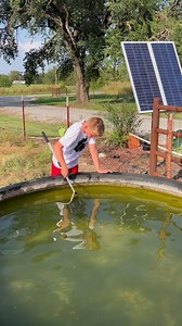 15K views · 603 reactions | They Had To Go  #fishing #algae #control #goodbye #pond #WalkerFarmFam | Walker Farm Fam | Facebook