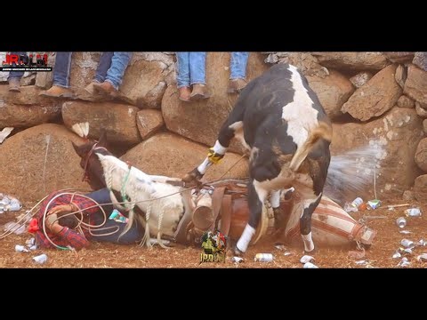 Alcanzo El Dos Caras del Paisa del Atrabesaño En la Viga Michoacán