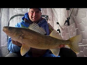 Early Ice Walleye | Red Lake Minnesota