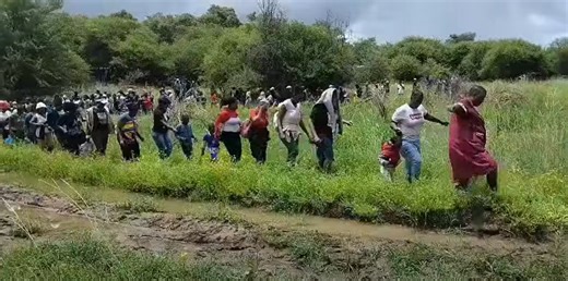 Festive season crackdown: Over 1000 undocumented foreigners intercepted in Limpopo border - NewZimbabwe.com
