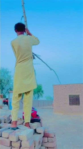 Chidya ki madad 🐦🥰❤️ #viralvideo