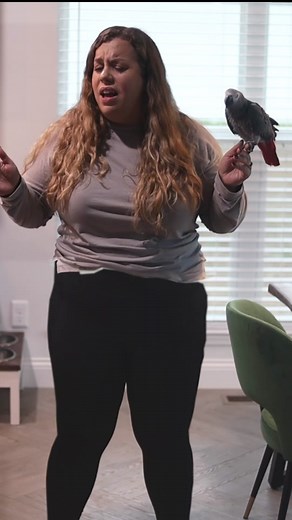 Hilarious Legless Celine Dion Singing Fail | Funny Editing Fails!