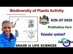 Biodiversity of plants - Activity 2025 (Grade 11 Life Sciences)