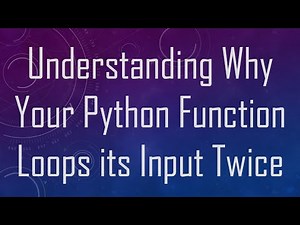 Understanding Why Your Python Function Loops its Input Twice