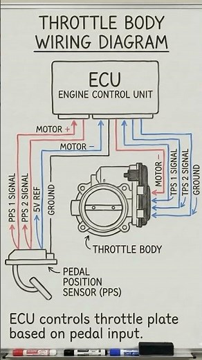 Throttle body wiring diagram #ecu#actuators #enginepart #jamesautomotiveeng