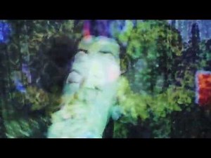 Tijuana Bibles - Wild River (Official Video)