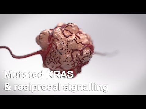 Cancer cell biology: mutated KRAS & reciprocal signalling