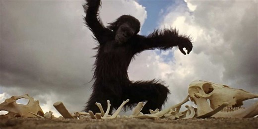 The Greatest Cut in Cinema: Why the '2001: A Space Odyssey' Bone Cut is Perfection