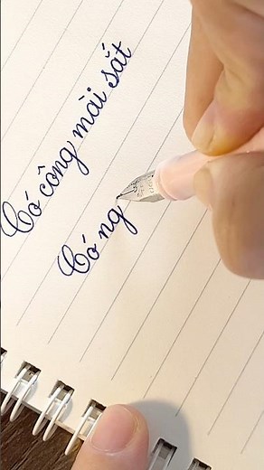 Vietnamese Proverb Handwriting ✍️