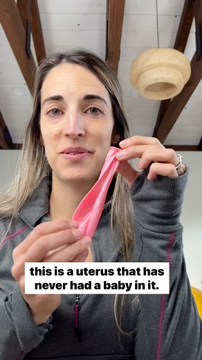 Dr. Tessa Christy PT, DPT on Instagram: "The uterus grows from about the size of a lemon to the size of a watermelon during pregnancy. After delivery, the uterus goes through a process called involution (or shrinking). At delivery it will weight about 1000g By 2 weeks post partum- about 500g By 6 weeks closer to original size of 50-100g Involution takes longer in women who have had multiple pregnancies and their uteruses tend to be slightly larger than those who have had one or no pregnancies. B