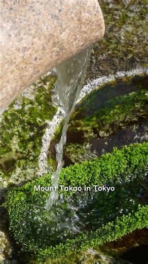 Tokyo🌿Peaceful Hike on Mt. Takao (02)🗻plum blossoms & Araikoku-Jizoson