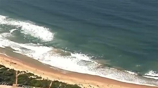 Australian surfer killed in shark attack off Sydney beach
