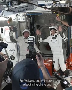 459K views · 4.1K reactions | After their eight-day mission in space turned into nine months because of issues with their Boeing’s Starliner capsule, NASA astronauts Suni Williams and Butch Wilmore have finally returned to Earth. | New Scientist | Facebook