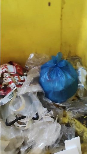 What People Throw Away! (Trash Audit & Finds) In Poland.