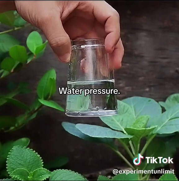 Water pressure experiment #physics #science #water #waterpressure #amazing #pressure