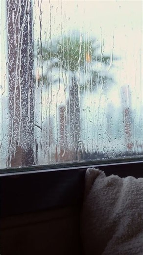 Cozy Rain on Window 🌧️ Rain Sounds for Deep Sleep #rain #asmr