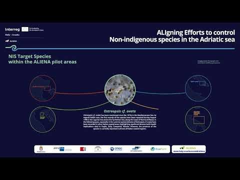 ALIENA pilot areas and the not indigenous species identified.