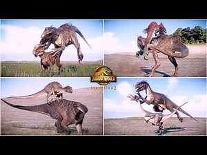 Indoraptor VS All 75 Dinosaurs Hunting Animation | Jurassic World Evolution 2