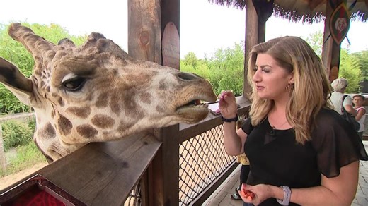 Take a fun trip with the family to White Post Farms