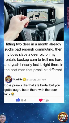 Boss Trolls Employee with Deer Prank on Backup Cam After Multiple Hits – Hilarious Fail