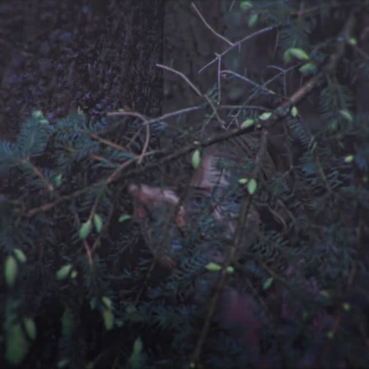 Harry Potter: Hogwarts History on Instagram: "American Wedding. Tag a fellow Potterhead who needs to see this! Follow @hphogwartshistory for more content! 🎥 by: andryy.aep on TikTok #fyp #viral #harrypotter #harrypotteredit #hermione #hermionegranger #hermionegrangeredit #ronweasley #ron #ronweasleyedit #goldentrio #goldentrioedit #edit"