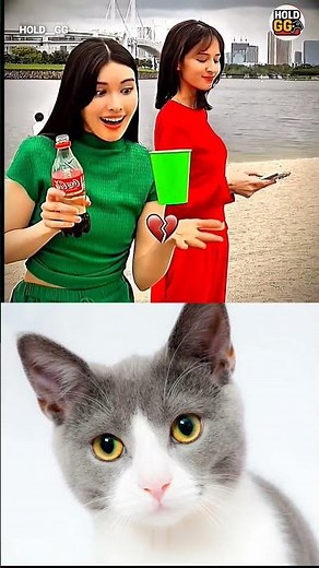 #highsandlows #guess