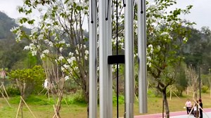 Memorial Wind Chimes, Tree of Life Wind Chime for Outside, Sympathy Windchimes for Loss of Loved One & Pet Ideas Gifts Musical Windchime Soothing Sound Hanging Ornaments 33" Silver