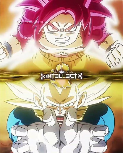 SSJ4 GOKU (KID) VS SSJ3 VEGETA (ADULT)