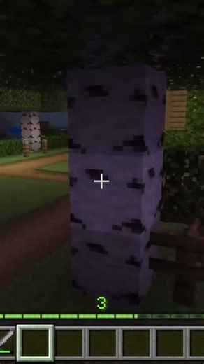 7th project in Minecraft #minecraft #editing # shots #gaming ☠️☠️☠️